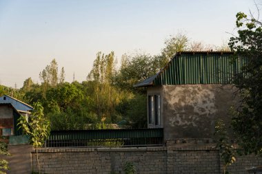 Yeşil çatılı bir ev, tuğla çit ve sıcak öğleden sonra ışığı altında yemyeşil bir yeşil alan.