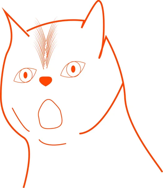 Gato Dibuja Contorno Muy Sorprendido — Archivo Imágenes Vectoriales