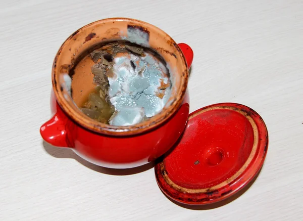 Rotting food. Mold growing on stewed vegetables in a red pot