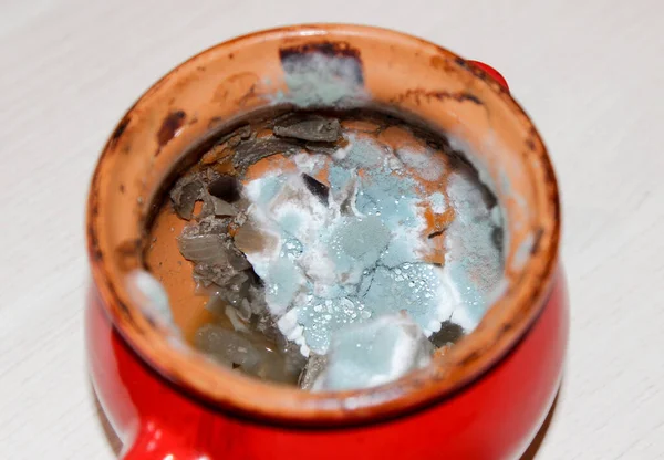 Çürüyen yiyeceklere yakın çekim. Güveçte küflenmiş sebze.