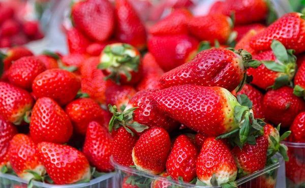 Arka plan olarak plastik kutularda bahçe çileği.