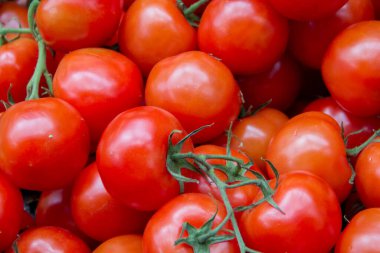 Arka plan olarak kırmızı domates yığını