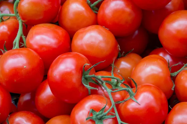 Arka plan olarak kırmızı domates yığını