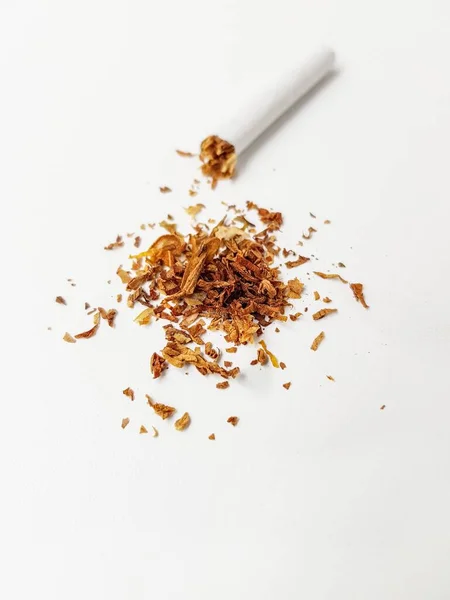 Een gebroken sigaret en een stapel tabaksbladeren op een witte achtergrond. — Stockfoto