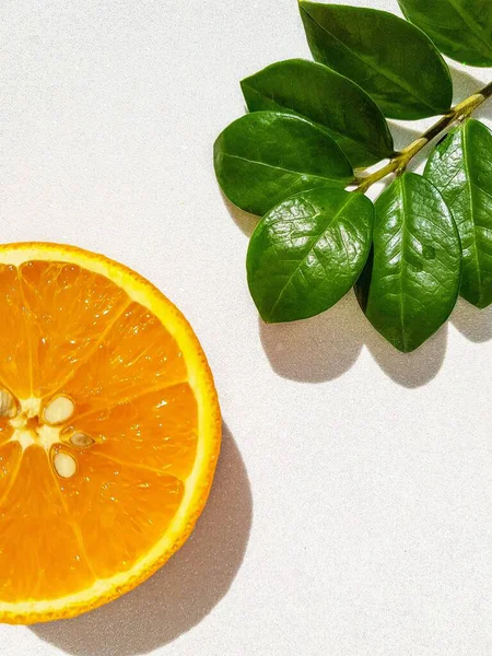 Transverse round cut of a bright juicy orange on a white background with a green zamiokulkas leaf at the back. — Stock Photo, Image
