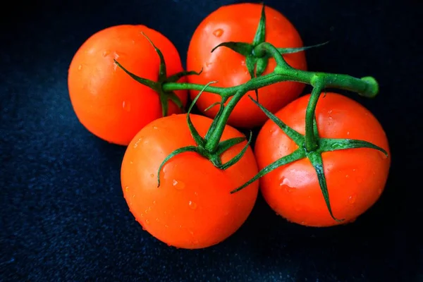 Rote saftige reife Tomate auf grünem Zweig vor schwarzem Hintergrund. — Stockfoto