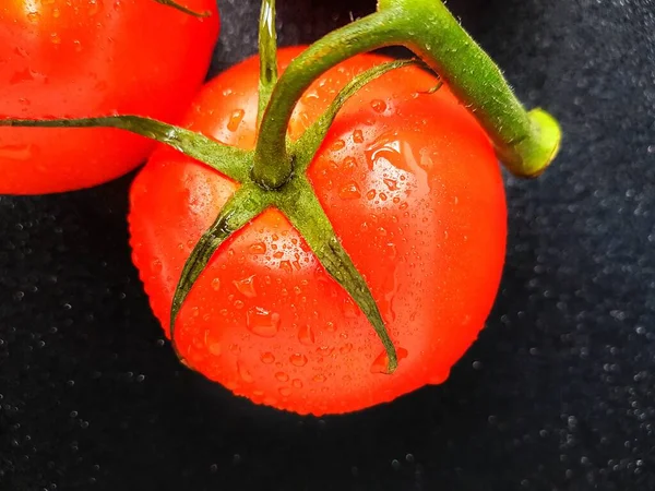 Tomate mûre juteuse rouge sur une branche verte sur un fond noir. — Photo