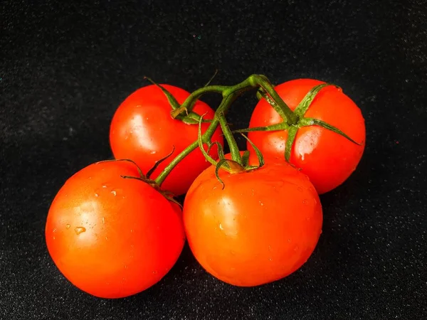 Tomate maduro suculento vermelho em um ramo verde em um fundo preto . — Fotografia de Stock