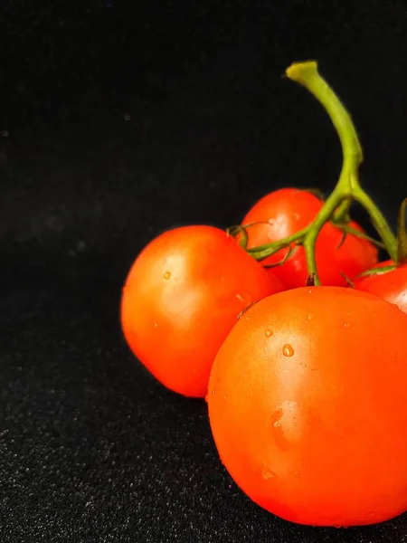 Tomate rouge juteuse mûre avec des feuilles vertes sur un fond sombre. Sur les tomates gouttes d'eau, nettoyer. — Photo