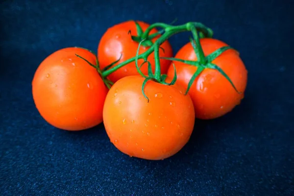 Mogen saftig röd tomat med gröna blad på en mörk bakgrund. På tomater vattendroppar, ren. — Stockfoto