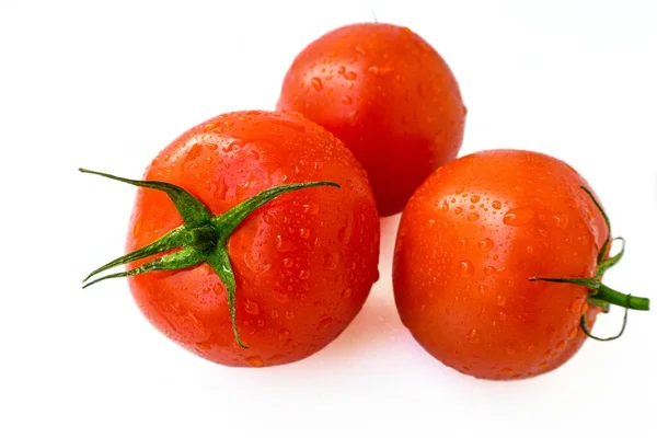 Tomate suculento maduro com gotas de água em um fundo branco . — Fotografia de Stock