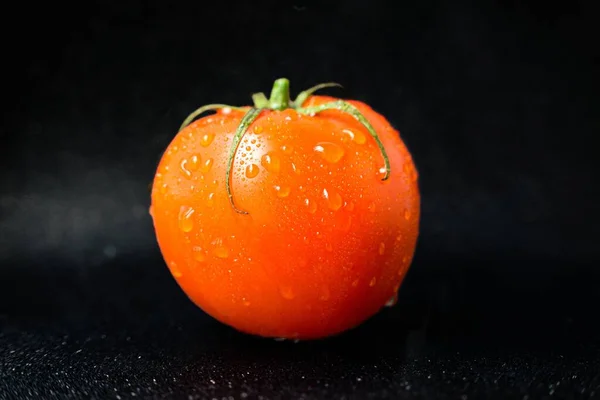 Tomate vermelho maduro sobre um fundo preto com gotas de água após a lavagem . — Fotografia de Stock