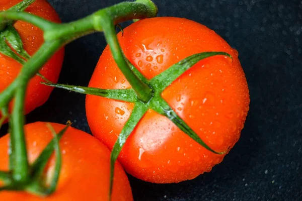 Dojrzałe soczyste czerwone pomidory z zielonymi liśćmi na ciemnym tle. Na pomidorach krople wody, czyste. — Zdjęcie stockowe