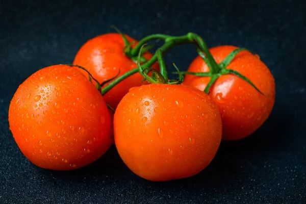 Tomate vermelho suculento maduro com folhas verdes em um fundo escuro. Em gotas de água de tomates, limpas . — Fotografia de Stock