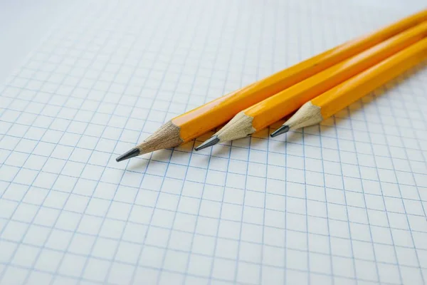 Lápices de pizarra amarilla en una hoja blanca de cuaderno en una jaula. Escuela . — Foto de Stock