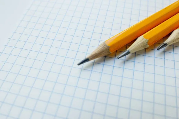 Kafesteki beyaz boş bir defter üzerindeki sarı tahta kalemler. Okul. — Stok fotoğraf