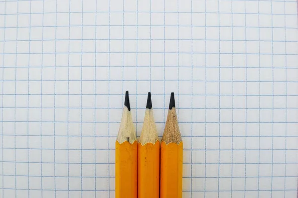Gelbe Schieferstifte auf einem weißen Blatt Notizbuch in einem Käfig. Schule. — Stockfoto