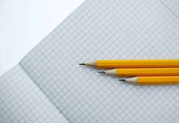 노랗게 판 연필이 새장 안에 있는 백지 수첩 위에 놓여 있다. 학교. — 스톡 사진