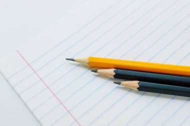 Sıralamada Griffin kalemleri beyaz boş bir defter üzerinde..