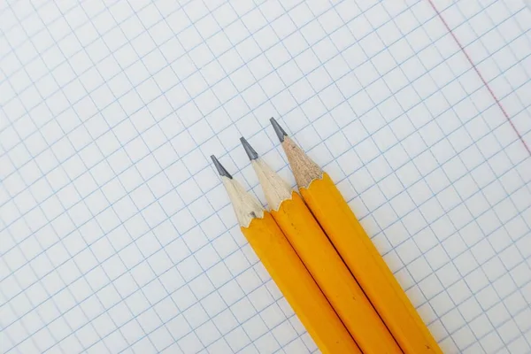 Gelbe Schieferstifte auf einem weißen Blatt Notizbuch in einem Käfig. Schule. — Stockfoto
