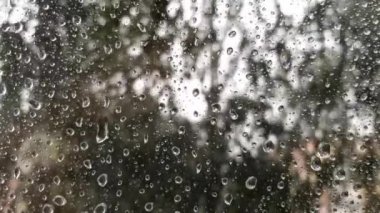 Pencereye yağmur damlaları düşer ve derelerden aşağı akar. Arka planda, rüzgar bir ağacı sallar..