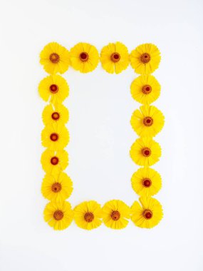 Sarı rudbekia çiçekleri ya da koni çiçekleri çerçeve şeklinde beyaz bir arkaplana saçılmış. Aşk ve sağlık kavramı.