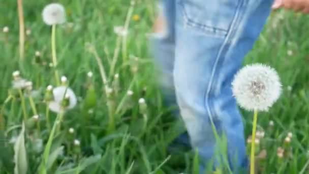 Küçük Bir Çocuk Yeşil Çayırda Toza Dönüşür — Stok video