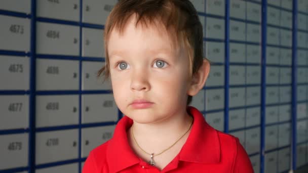 Retrato Lindo Niño Que Llevaba Polo Rojo Contra Muchas Celdas — Vídeo de stock