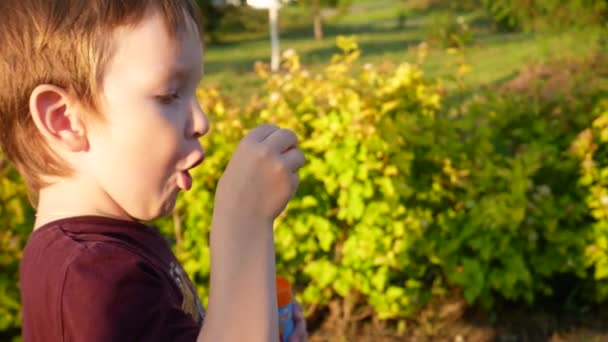 Niño Bonito Sopla Burbujas Jabón Aire Libre — Vídeos de Stock