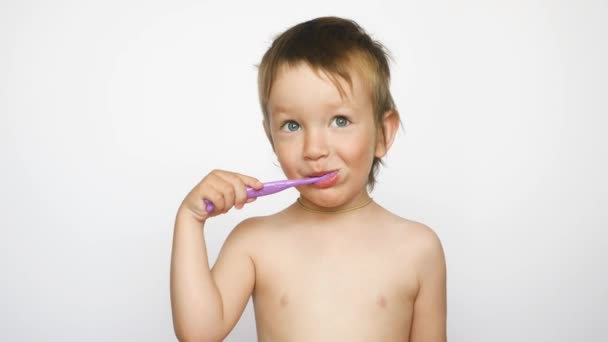 Lindo Menino Escova Dentes Rindo Duramente Contra Fundo Branco — Vídeo de Stock
