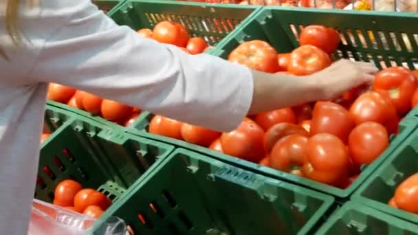 若い女性は市場でトマトを慎重に選ぶ — ストック動画