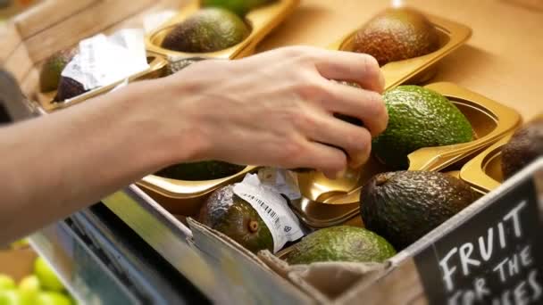 Una Mujer Elige Hermosos Aguacates Cuidadosamente Mercado — Vídeos de Stock