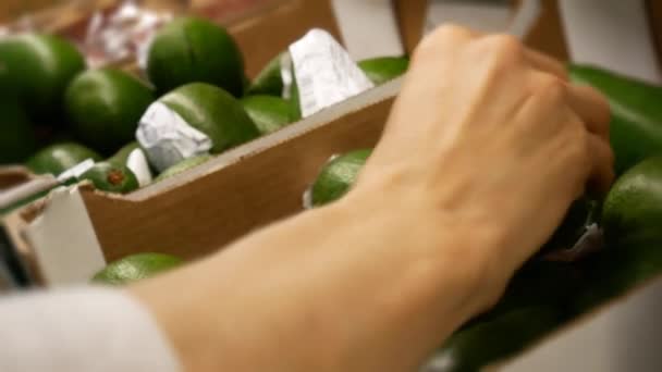 Una Mujer Elige Cuidadosamente Aguacates Verdes Mercado — Vídeos de Stock