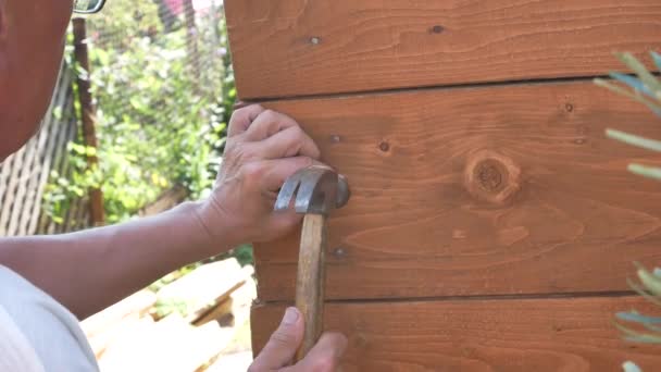 Ein Mann Hämmert Mit Einem Hammer Einen Nagel Eine Holzwand — Stockvideo