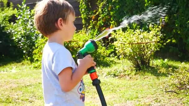 Liten Pojke Vattnar Trädgården Växter Med Vattning Spray — Stockvideo