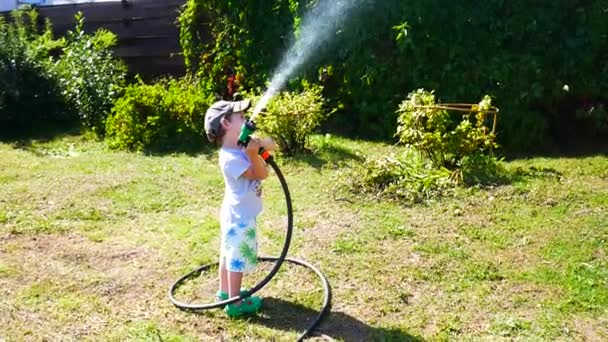 Little Boy Has Fun Watering His Granddaddy Watering Spray — Stock Video