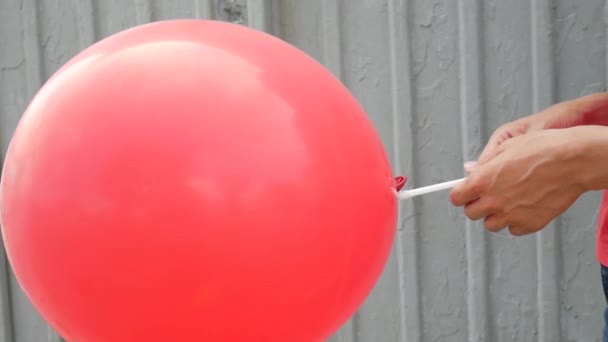 Two Woman Hands Holding Big Red Balloon — Stock Video