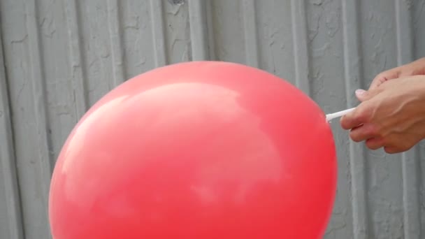 Dos Manos Mujer Sostienen Gran Globo Rojo Dándole — Vídeo de stock