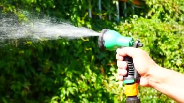 Mans bir sulama spreyi tutar ve bahçe bitkilerini sular