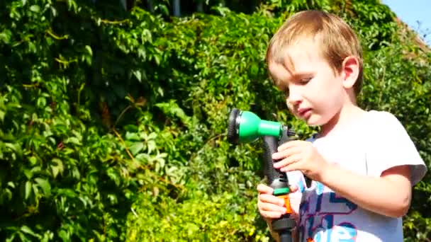 Egy Kedves Fiú Kertben Marad Növényeket Öntöz — Stock videók