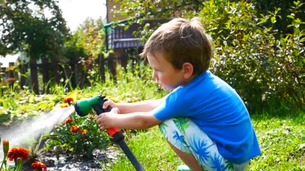 Menino Molha Flores Jardim Com Spray Rega Sentado Gramado — Vídeo de Stock