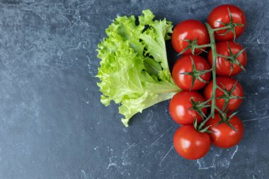 Dal üzerinde kiraz domatesleri, yakın plan koyu grafit arka plan ve uzayın bir kopyası. Yukarıdan görünüşü.