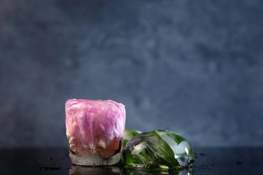 Karanlık bir arka planda buzda donmuş şakayık çiçekleri kompozisyonu, yaratıcı bir yaz konsepti. seçici odak.