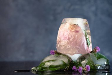 Karanlık bir arka planda buzda donmuş şakayık çiçekleri kompozisyonu, yaratıcı bir yaz konsepti. seçici odak.