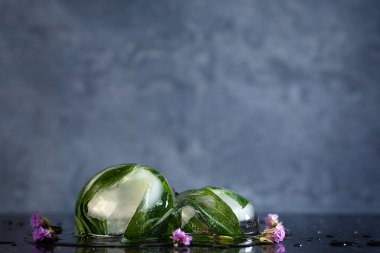 Karanlık bir arka planda buzda donmuş şakayık çiçekleri kompozisyonu, yaratıcı bir yaz konsepti. seçici odak.