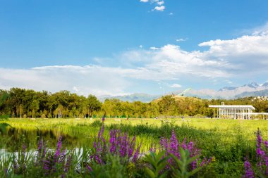 Şehrin Botanik Bahçesi 'ndeki rezervuar, ağaçların, dağların ve açık bir yaz gökyüzünün arka planına karşı. Rahatlamak için rahat bir yer..