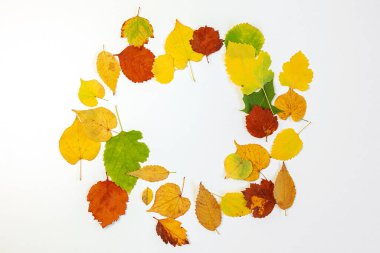 Beyaz arka planda parlak renkli kuru yapraklardan oluşan bir çelenk ile sonbahar düz kompozisyonu. Yaratıcı sonbahar, Şükran Günü, Cadılar Bayramı konsepti. Üst görünüm, kopyalanacak yer
