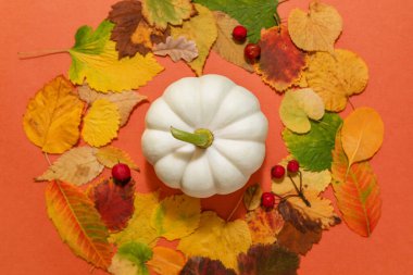 Yaratıcı sonbahar kompozisyonu. Beyaz balkabakları ve parlak yapraklar fotokopi alanı olan turuncu kağıt bir arka planda. Hasat konsepti, Şükran Günü, Cadılar Bayramı, davetiye kartları.