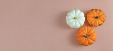 Yaratıcı sonbahar kompozisyonu. Renkli arkaplanda fotokopi alanı olan kabaklar. Hasat konsepti, Şükran Günü, Cadılar Bayramı, davetiye kartları. Banne