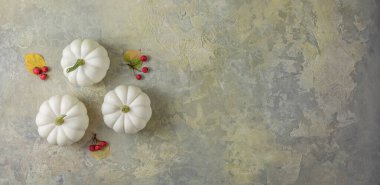 Yaratıcı sonbahar kompozisyonu. Renkli arkaplanda fotokopi alanı olan kabaklar. Hasat konsepti, Şükran Günü, Cadılar Bayramı, davetiye kartları.